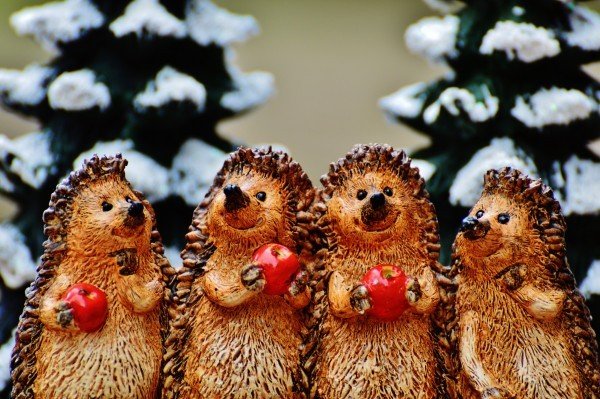 winter-hedgehog-apple-cute-sweet-fig-wintry-deco-2