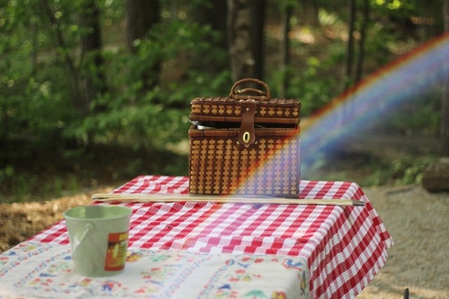 rainbow-picnic-table-lake-park
